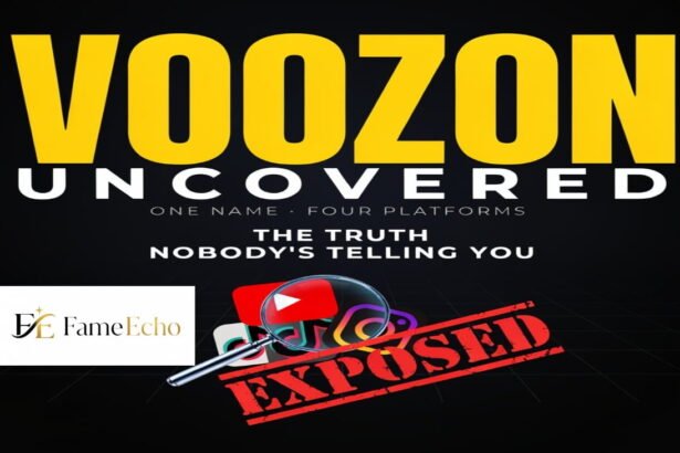 Confused person looking at multiple conflicting Voozon website results on a laptop screen