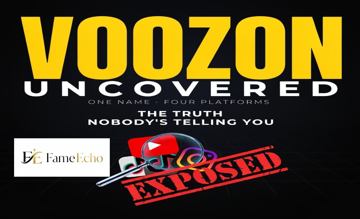 Confused person looking at multiple conflicting Voozon website results on a laptop screen