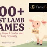 A fluffy white baby lamb standing in a green meadow, looking at the camera