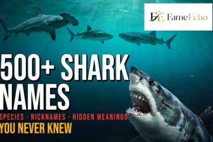 A detailed illustration of famous shark species including great white, hammerhead, tiger, bull, and whale shark with their scientific names labeled