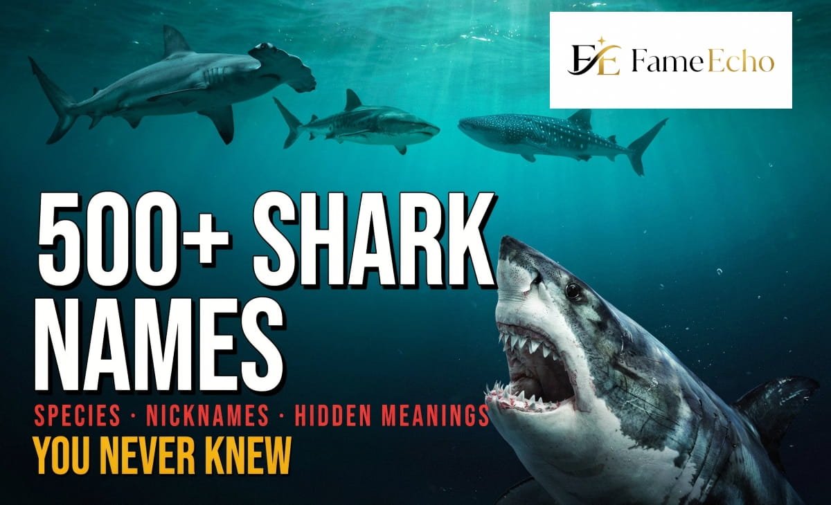 A detailed illustration of famous shark species including great white, hammerhead, tiger, bull, and whale shark with their scientific names labeled